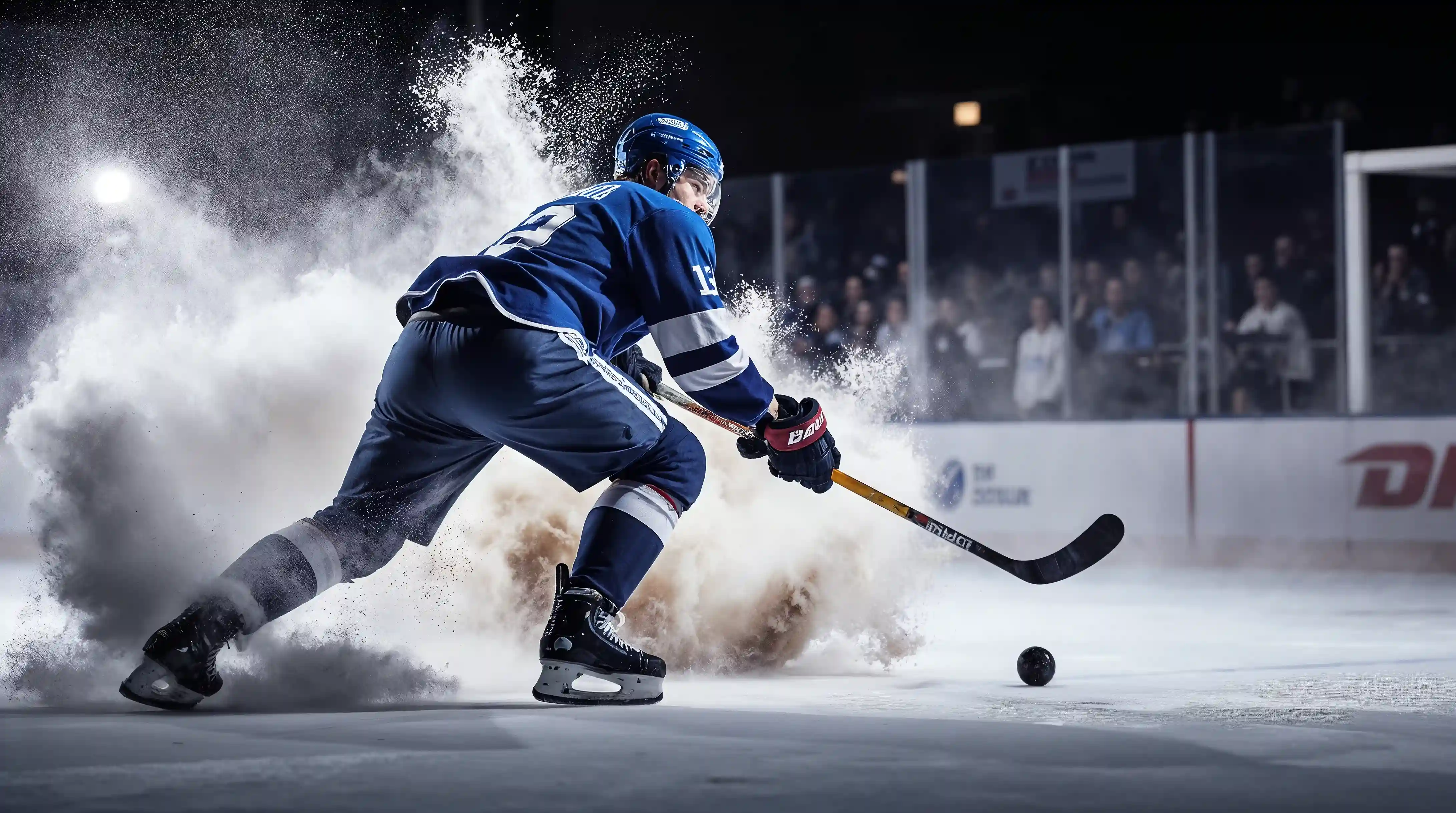 How to Play Fantasy Hockey